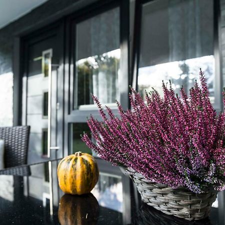 Ferienwohnung Saalhausen Sauerland 伦讷施塔特 外观 照片