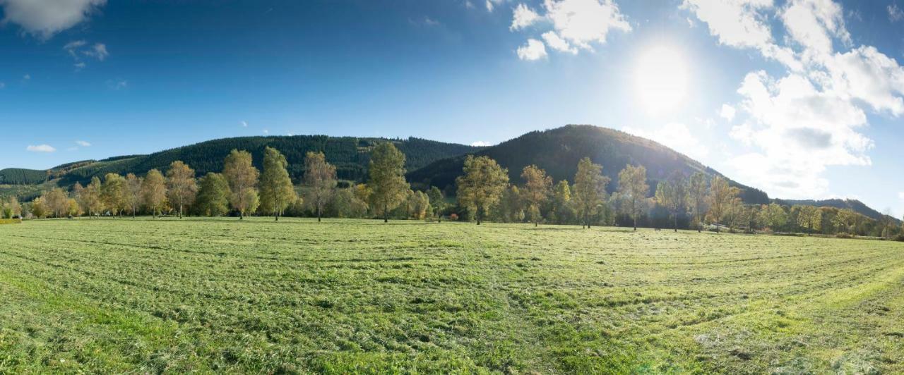 Ferienwohnung Saalhausen Sauerland 伦讷施塔特 外观 照片